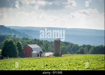 Scenic landscape of farm in Garrett County, Maryland, USA Stock Photo