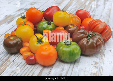 differents color varieties of tomatoes on a wooden white table Stock ...