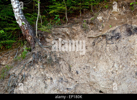 layer of soil beneath section Stock Photo