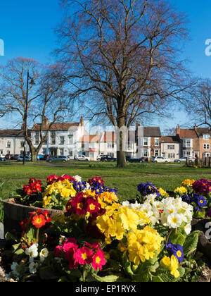 Spring Flowers West Green, Stokesley, North Yorkshire Stock Photo