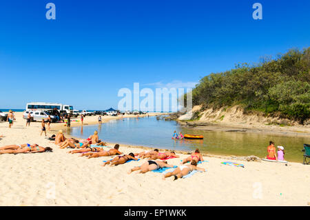 People Sunbathing, Eli Creek, Fraser Island, Queensland, QLD, Australia Stock Photo