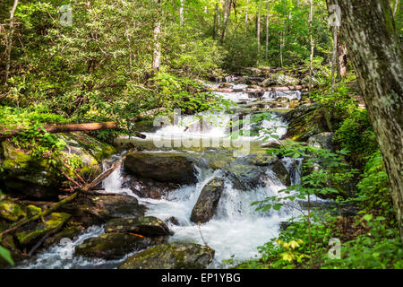 Smith Creek, Anna Ruby Falls, Chattahoochee-Oconee National Forest, Georgia, USA Stock Photo