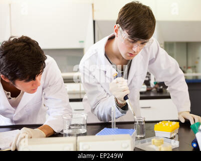 Chemistry students making an experiment Stock Photo