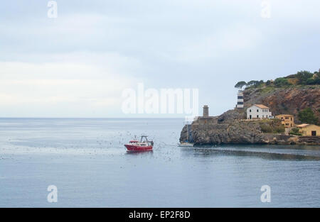 Flock of seagulls crowd around a fishing boat returning with catch on April 22, 2015 in Port de Soller, Mallorca. Stock Photo