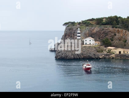 Flock of seagulls crowd around a fishing boat returning with catch on April 22, 2015 in Port de Soller, Mallorca. Stock Photo