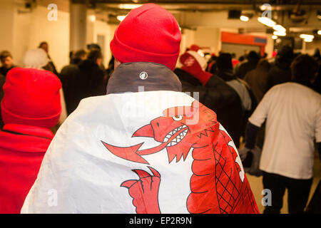 Wales fans, including one with the Welsh flag,The Red Dragon, at rugby match, Wales v New Zealand. The All Blacks/New Zealand be Stock Photo