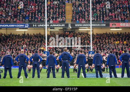 Wales players in track suits face towards the All Blacks haka, a maori traditional war dance performed prior to All Black matches.At rugby match, Wales v New Zealand. The All Blacks/New Zealand beat Wales 37-25 in the Autumn International Test on November 27th, 2010 at The Millennium Stadium, Cardiff, Wales, U.K. Stock Photo