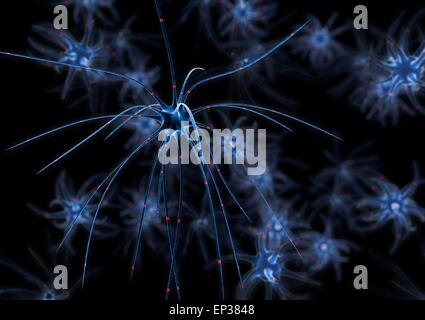 Render of group of neurons on black background Stock Photo