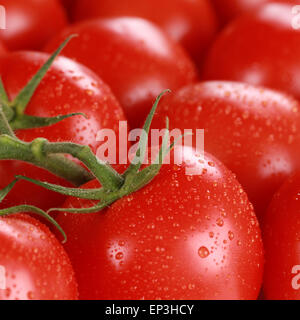 Nahaufnahme Tomaten Stock Photo