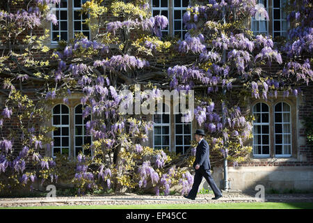 A porter at Jesus College Cambridge walking past the wall of wisteria in the First Court Stock Photo