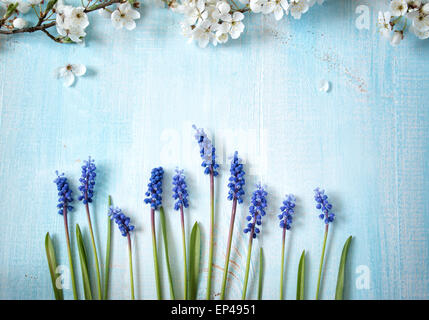 Cherry flowers on wooden board Stock Photo