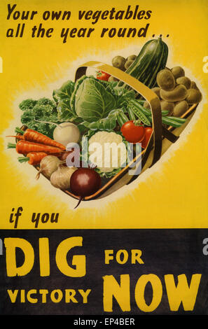 DIG NOW FOR VICTORY British Ministry of Health poster about 1942 Stock Photo