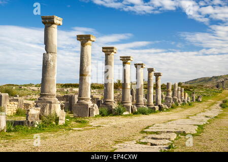 Volubilis, ancient Roman city in Zerhoun Mountains, near Fes. Morocco Stock Photo