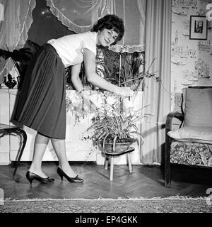 Eine junge Frau kümmert sich um die Pflanzen in ihrem Wohnzimmer, Deutschland 1960er Jahre. A young woman watering the flowers a Stock Photo