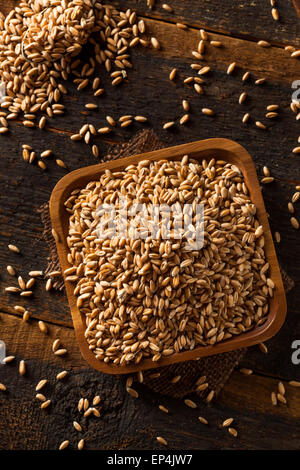 Raw Organic Spelt Grain in a Bowl Stock Photo