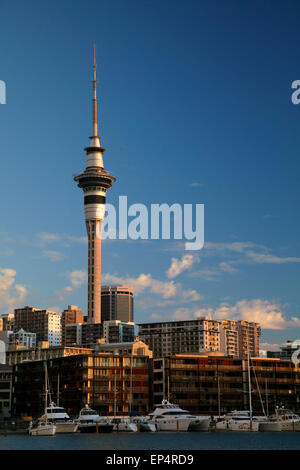 Skytower, CBD, and yachts, Viaduct Harbour, Auckland, North Island, New Zealand Stock Photo