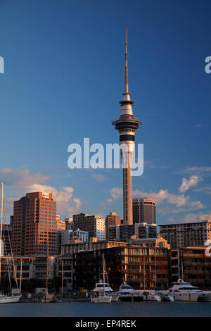 Skytower, CBD, and yachts, Viaduct Harbour, Auckland, North Island, New Zealand Stock Photo