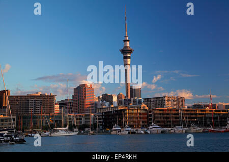 Skytower, CBD, and yachts, Viaduct Harbour, Auckland, North Island, New Zealand Stock Photo