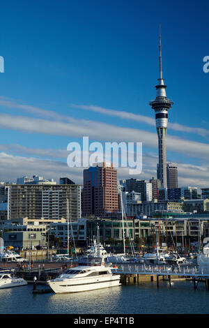 Skytower, CBD, and yachts, Viaduct Harbour, Auckland, North Island, New Zealand Stock Photo