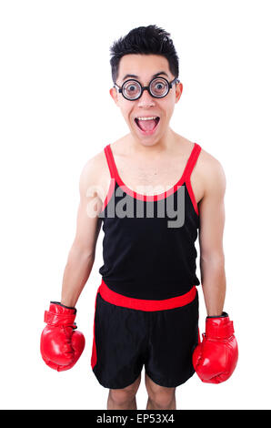 Funny boxer isolated on the white background Stock Photo - Alamy