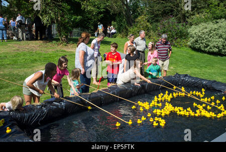 Children playing hook a duck at a traditional English summer fair. Stock Photo