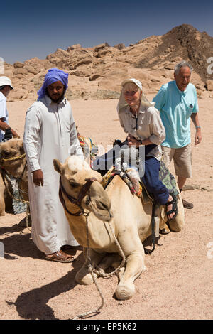 Egypt, Sinai, Sharm el Sheikh, Nabq National Park, senor woman tourist on Bedouin camel for desert ride Stock Photo