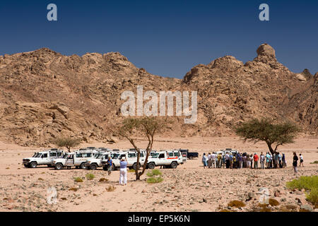 Egypt, Sinai, Sharm el Sheikh, Nabq National Park, Desert tour four wheel drive vehicles in arid wadi Stock Photo