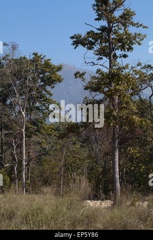 Bardia National Park. Nepal. Shiwalik and Churia Hills. Foothills leading to Himalayas. Stock Photo