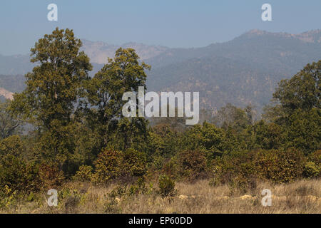 Bardia National Park. Nepal. Shiwalik Churia Hills. Impressive foothills leading to Himalayas. Stock Photo