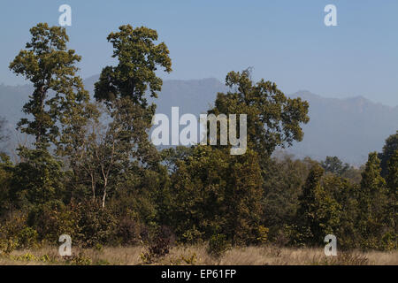 Bardia National Park. Nepal. Shiwalik Churia Hills. Impressive foothills leading to Himalayas. Stock Photo