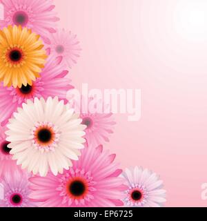 Gerber flowers isolated on pink background. Vector illustration Stock Vector