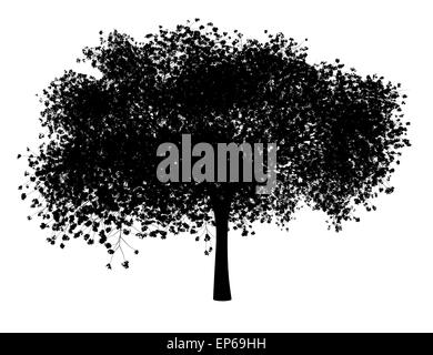 silhouette of sour cherry tree isolated on white Stock Photo