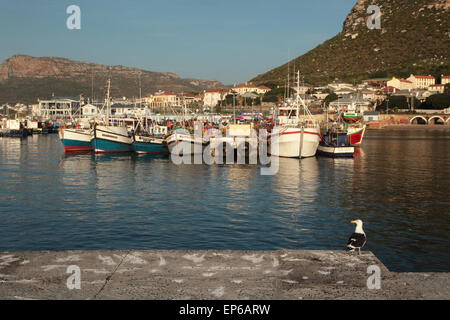 Fishing boats in Kalk Bay harbor in early morning Stock Photo