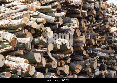 Close up of a pile of cut logs drying in the sun. Woodpile  sourced from sustainably managed woodlands. Woodyard timber Stock Photo