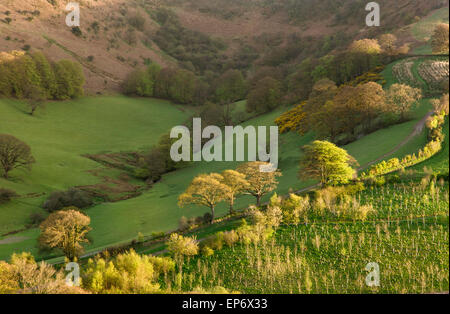 Dawn over the Punchbowl on Winsford Hill near Winsford, Exmoor National Park, Somerset, England, UK Stock Photo