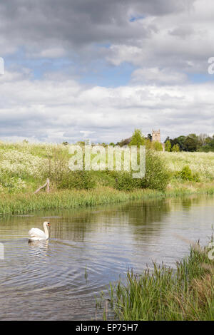 Croome Court's attractive parkland and St Mary Magdalene's Church by Capability Brown, Worcestershire. England, UK Stock Photo