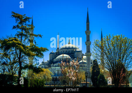Blue Mosque, (Sultanahmet Camii), Istanbul, Turkey. Stock Photo