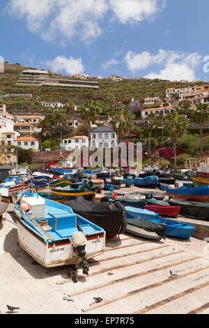 Fishing boats in the harbour, Camara de Lobos village, Madeira, Europe Stock Photo