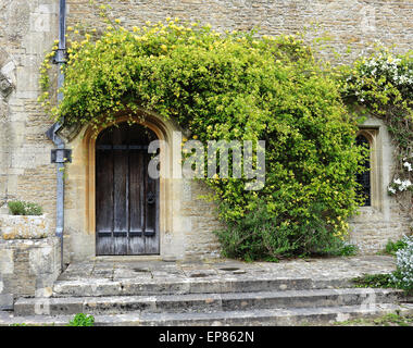 Wooden door into a medieval building with a climbing flowering plant on the wall Stock Photo