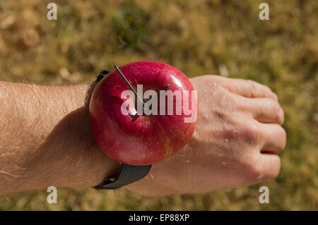 a joke redneck apple watch made out of a red apple strapped to a wrist Stock Photo
