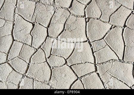 dried shrinkage mud cracks background in the desert Stock Photo
