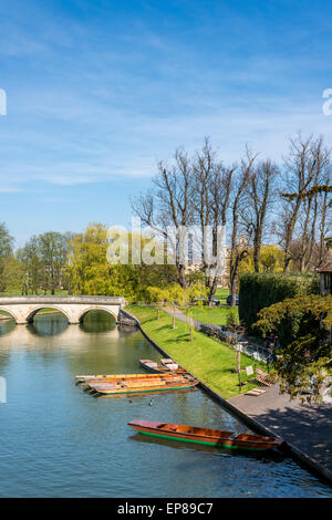 Views down the River Cam, Cambridge on a summer's day with punts on the side of the river Stock Photo