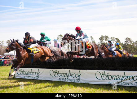 races jockeys greyville sand racing horse action alamy 64th stoneybrook steeplechase horses running