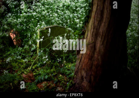 Thaxted Churchyard in the rain. Thaxted Essex England. May 2015 Stock Photo