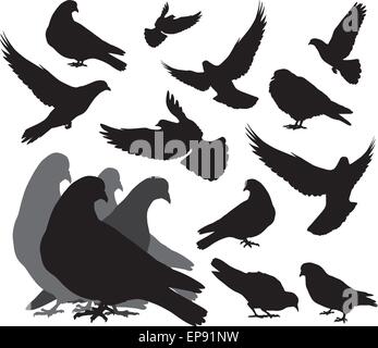 Doves set. Vector silhouettes Stock Vector