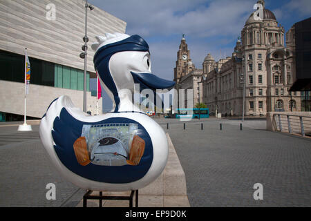 Liverpool, Merseyside, UK 15th May, 2015 Giant Ducks on the Liverpool duck trail. The first ducks on the Liverpool Duck Trail, commissioned by AquaDucked, have been positioned around the Waterfront, Liverpool One, and The Albert Dock. Twenty in total will be positioned around the city Centre for the LightNight event. They are painted to mark a ‘Liverpool first’, achievements which have been recognized as a world first. Credit:  Mar Photographics/Alamy Live News Stock Photo