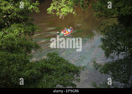 Family canoeing on the river Vezere at Saint Christophe in the Dordogne, France Stock Photo