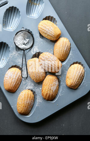 French madeleines Stock Photo