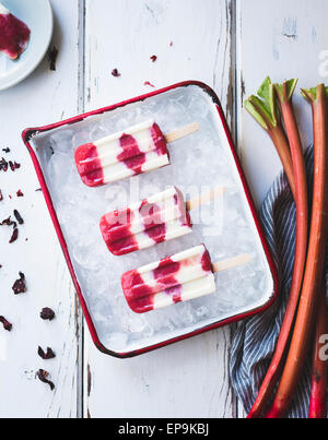 Hibiscus, Rhubarb and Yogurt Ice Pops Stock Photo