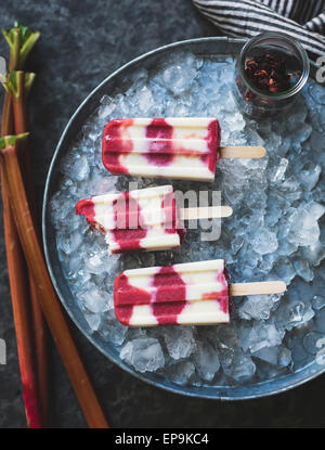 Hibiscus, Rhubarb and Yogurt Ice Pops Stock Photo